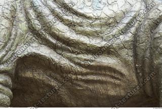 Photo Textures of Animals Skin